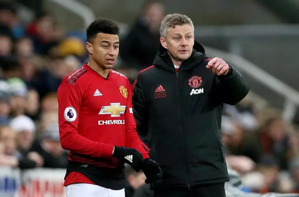 位居第二的 位居第二的